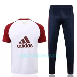 Camisolas de Treino Arsenal Homem 2022/23 Branca Vermelha
