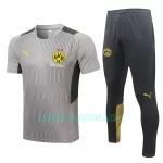 Camisolas de Treino BVB Borussia Dortmund Homem 2022/23 Cinza Claro