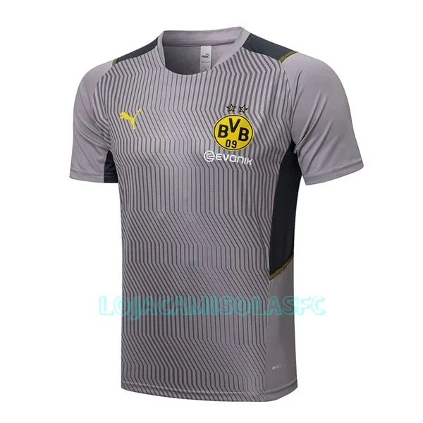 Camisolas de Treino BVB Borussia Dortmund Homem 2022/23 Cinza Claro