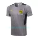 Camisolas de Treino BVB Borussia Dortmund Homem 2022/23 Cinza Claro