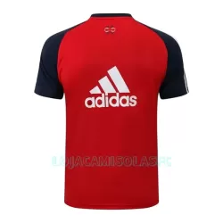 Camisolas de Treino FC Bayern de Munique Homem 2022/23 Azul Vermelho