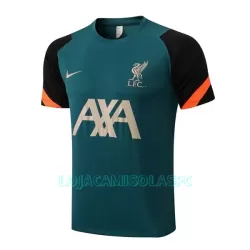 Camisolas de Treino Liverpool Homem 2022/23 Verde
