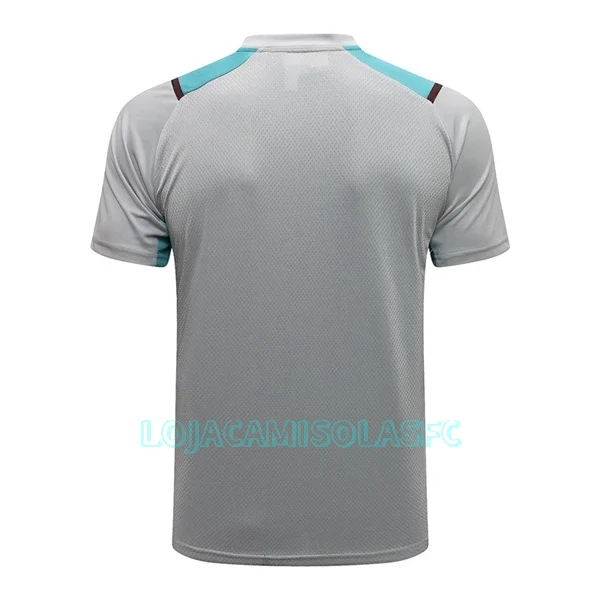 Camisolas de Treino Manchester City Homem 2022/23 Cinza Claro