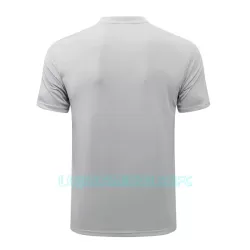 Polo de Treino Manchester City Homem 2022/23 Cinza Claro