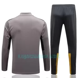 Sweat de Treino Conjunto BVB Borussia Dortmund Homem Quarto-Zíper 2022/23 Cinza Claro