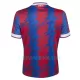 Camisola Crystal Palace Homem Equipamento 1ª 2022/23