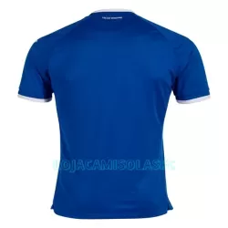 Camisola TSG 1899 Hoffenheim Homem Equipamento 1ª 2022/23