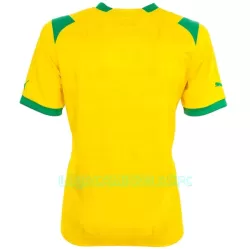 Camisola West Bromwich Albion Homem Equipamento 2ª 2022/23