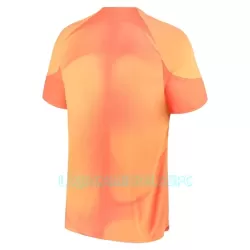 Camisola Guarda-Redes Chelsea Homem Equipamento 1ª 2022/23