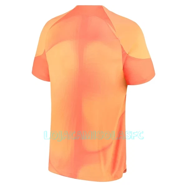 Camisola Guarda-Redes Chelsea Homem Equipamento 1ª 2022/23