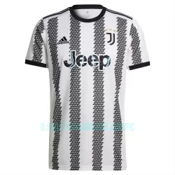 Camisola Juventus Chiellini 3 Homem Equipamento 1ª 2022/23