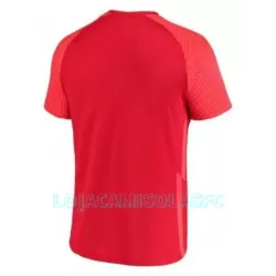 Camisola Canadá Homem Equipamento 1ª Mundial 2022