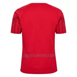 Camisola Dinamarca Homem Equipamento 1ª Mundial 2022