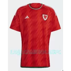 Camisola País de Gales Homem Equipamento 1ª Mundial 2022 Camisola País de Gales Homem Equipamento 1ª Mundial 2022