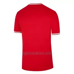 Camisola Polônia Homem Equipamento 2ª Mundial 2022