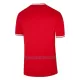 Camisola Polônia Homem Equipamento 2ª Mundial 2022