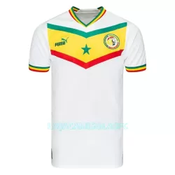 Camisola Senegal Homem Equipamento 1ª Mundial 2022 Camisola Senegal Homem Equipamento 1ª Mundial 2022