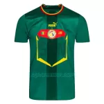 Camisola Senegal Homem Equipamento 2ª Mundial 2022