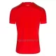 Camisola Suíça Homem Equipamento 1ª Mundial 2022