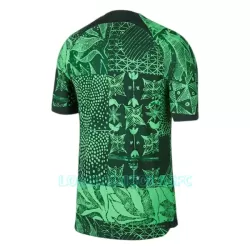 Camisola Nigéria Homem Equipamento 1ª 2022