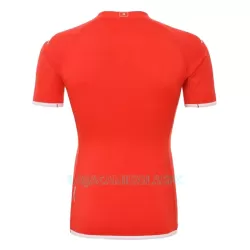 Camisola Tunísia Homem Equipamento 1ª Mundial 2022