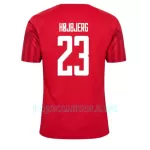 Camisola Dinamarca Pierre-Emile Hojbjerg 23 Homem Equipamento 1ª Mundial 2022