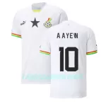 Camisola Gana Andre Ayew 10 Homem Equipamento 1ª Mundial 2022
