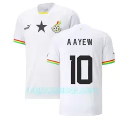 Camisola Gana Andre Ayew 10 Homem Equipamento 1ª Mundial 2022 Camisola Gana Andre Ayew 10 Homem Equipamento 1ª Mundial 2022