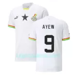 Camisola Gana Ayew 9 Jordan Homem Equipamento 1ª Mundial 2022