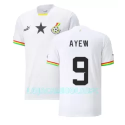 Camisola Gana Ayew 9 Jordan Homem Equipamento 1ª Mundial 2022 Camisola Gana Ayew 9 Jordan Homem Equipamento 1ª Mundial 2022
