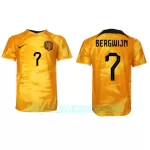 Camisola Holanda Steven Bergwijn 7 Homem Equipamento 1ª Mundial 2022