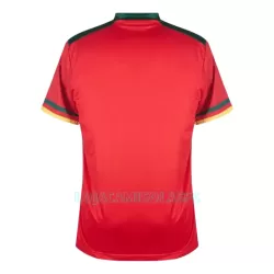 Camisola Camarões Homem Equipamento 3ª Mundial 2022