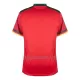 Camisola Camarões Homem Equipamento 3ª Mundial 2022