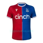 Camisola Crystal Palace Homem Equipamento 1ª 2023/24