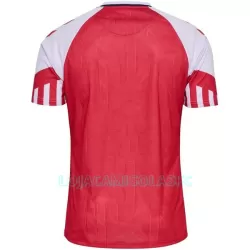Camisola Dinamarca Homem Equipamento 1ª 2023
