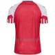 Camisola Dinamarca Homem Equipamento 1ª 2023
