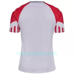 Camisola Dinamarca Homem Equipamento 2ª 2023