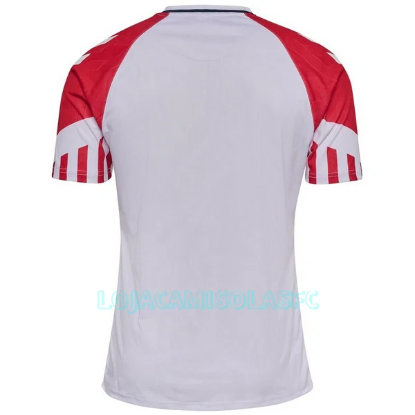 Camisola Dinamarca Homem Equipamento 2ª 2023