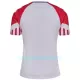 Camisola Dinamarca Homem Equipamento 2ª 2023
