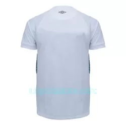 Camisola Grêmio FBPA Homem Equipamento 2ª 2023/24