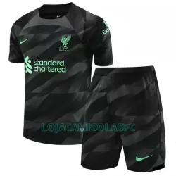 Camisola Guarda-Redes Liverpool Criança Equipamento 1ª 2023/24 Camisola Guarda-Redes Liverpool Criança Equipamento 1ª 2023/24