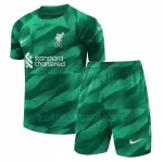 Camisola Guarda-Redes Liverpool Criança Equipamento 3ª 2023/24
