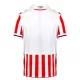 Camisola Stoke City Homem Equipamento 1ª 2023/24