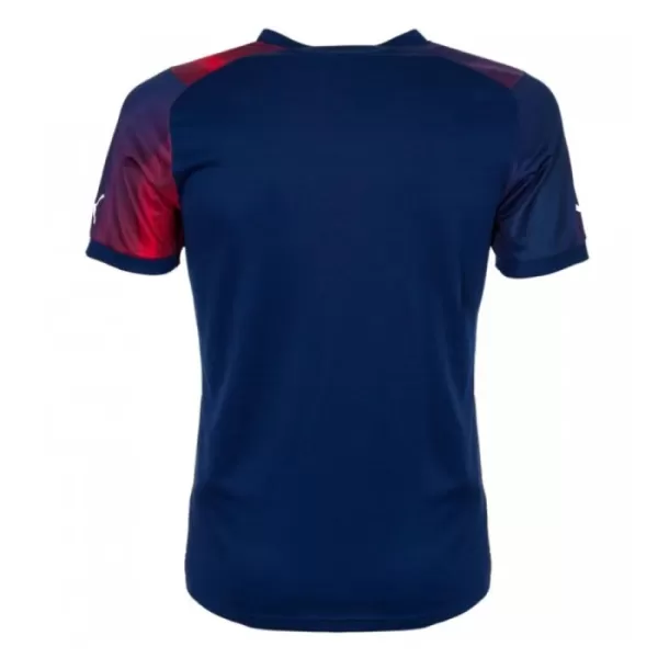 Camisola West Bromwich Albion Homem Equipamento 3ª 2023/24