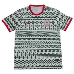 Camisola Nigéria Homem 2023/24 - Especial