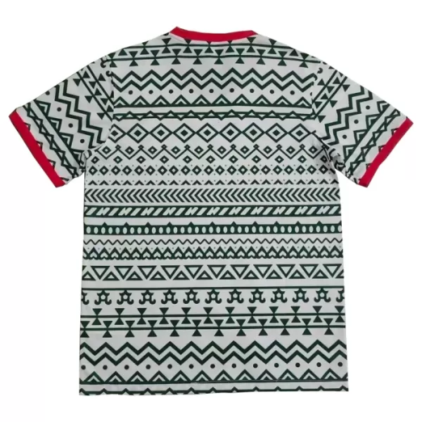 Camisola Nigéria Homem 2023/24 - Especial