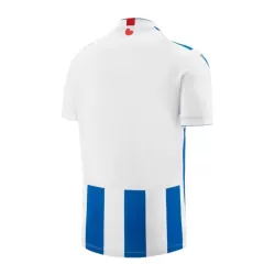 Camisola SC Heerenveen Homem Equipamento 1ª 2023/24