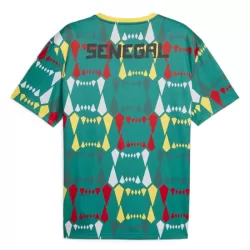 Camisola Senegal Homem Equipamento 1ª 2023/24