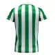 Camisola Real Betis Homem 2023/24 - Especial
