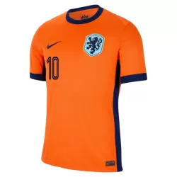 Camisola Holanda Memphis 10 Homem Equipamento 1ª Euro 2024